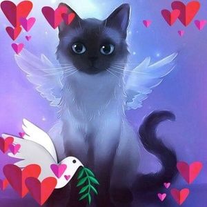 Meet your Posher, Dolores